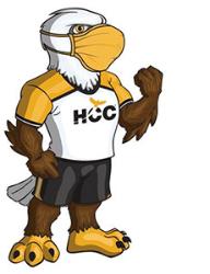 HCC Soar Safe Swoop