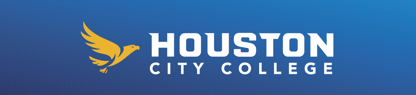 Houston City College